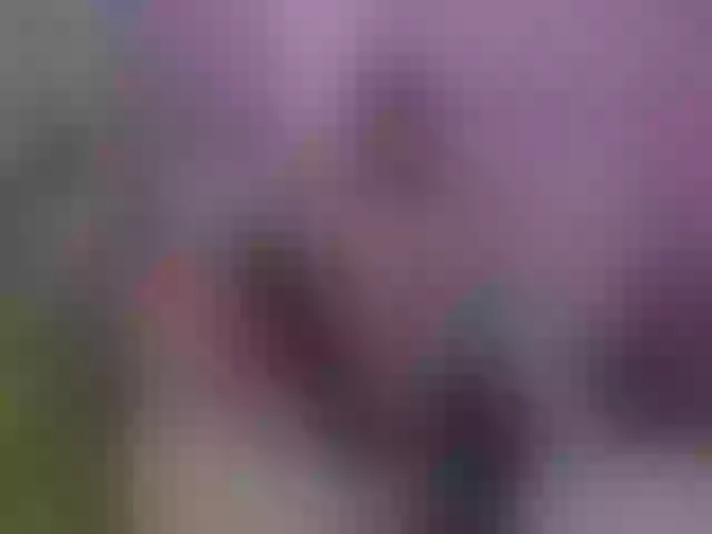 Live sex webcam photo for SilvaTail #291856761