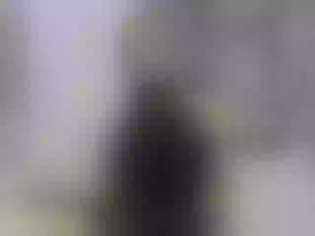 Live sex webcam photo for SilvaTail #292148476