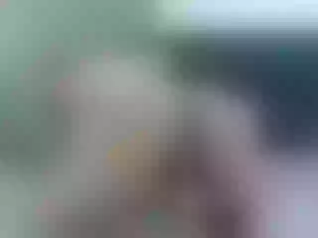 Live sex webcam photo for SimonKeler #276452279