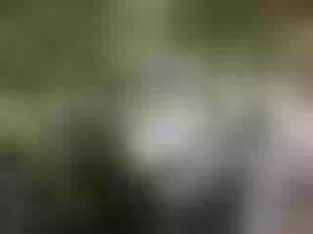 Live sex webcam photo for SimonyDavid #276503733