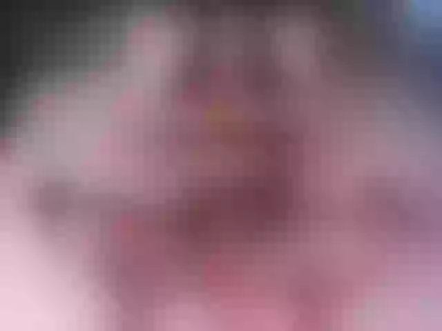 Live sex webcam photo for SinOfRaquel #291244474