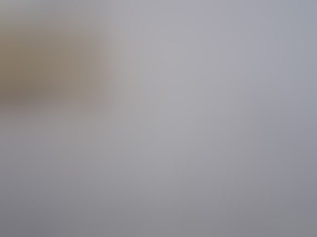 Live sex webcam photo for Sinah #294171121