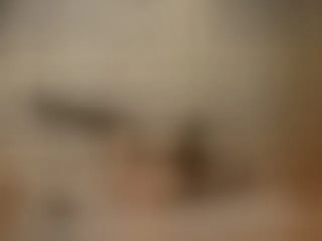 Live sex webcam photo for SinfulLust #293578649