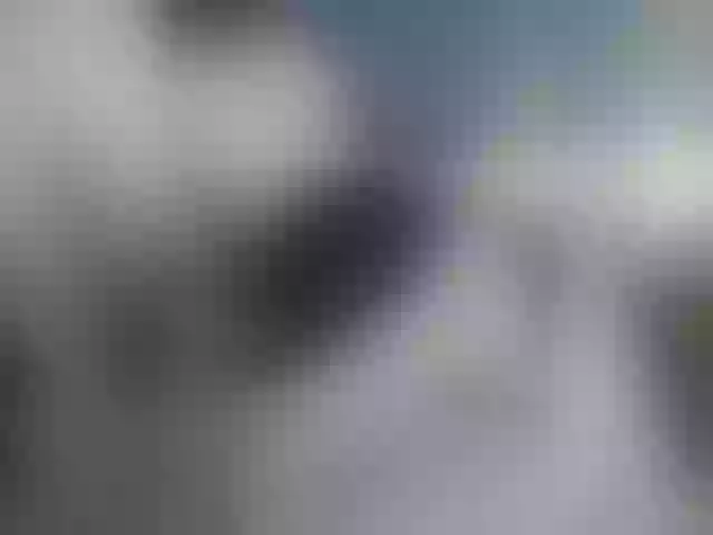 Live sex webcam photo for Sinichka #277907196
