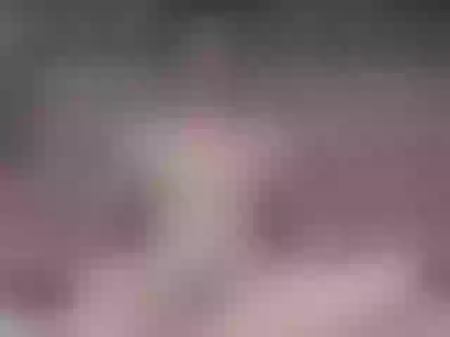 Live sex webcam photo for SirReed #291434023