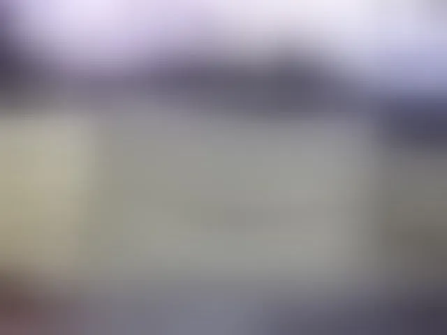 Live sex webcam photo for SirReed #291864881