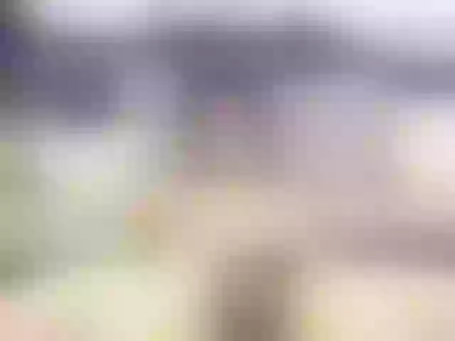 Live sex webcam photo for SirReed #291959869