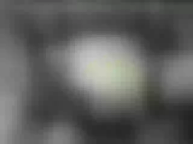 Live sex webcam photo for SissyAss #291563838