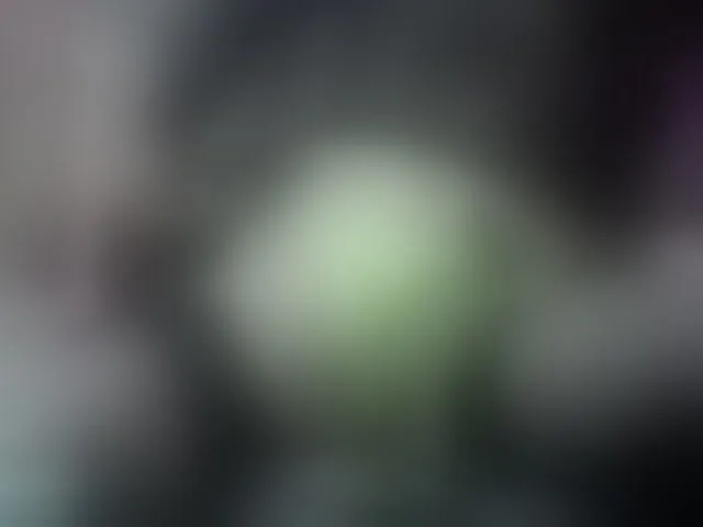 Live sex webcam photo for SissyAss #291629935