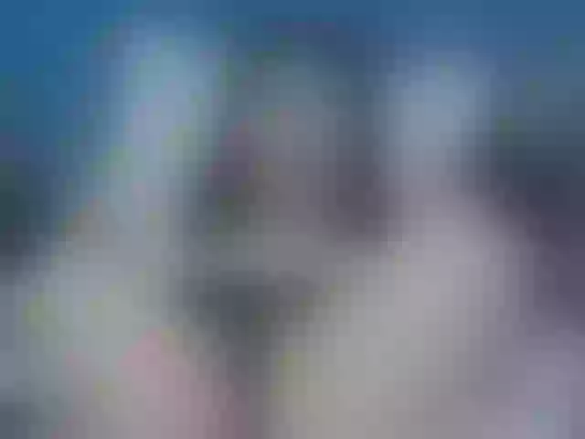 Live sex webcam photo for SkinnyClassyC #276365134