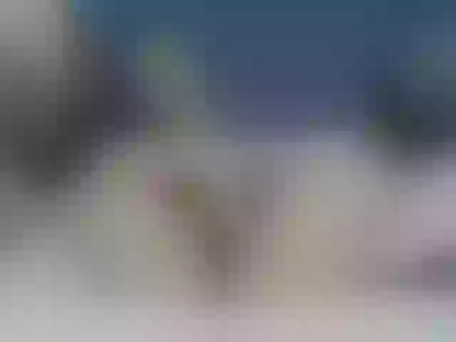 Live sex webcam photo for SkinnyClassyC #276587982