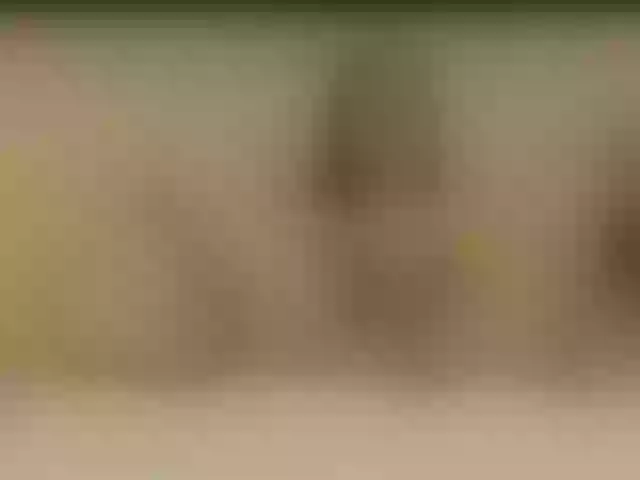 Live sex webcam photo for SkinnyClassyC #278302956