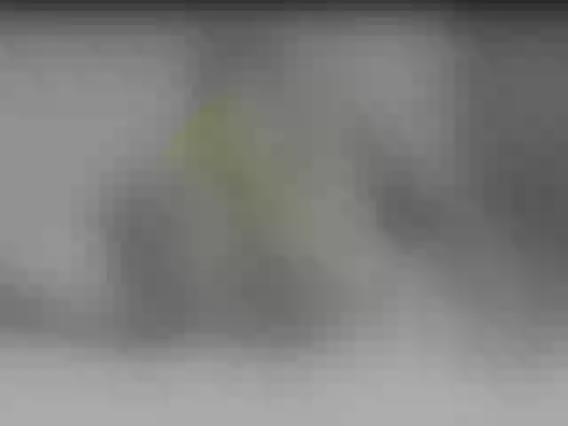 Live sex webcam photo for SkinnyClassyC #278396399