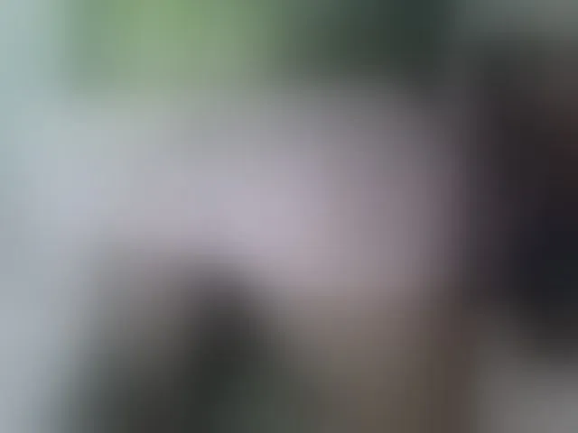Live sex webcam photo for Skinybitchx #292939947