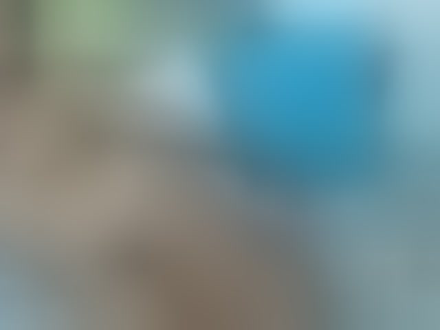Live sex webcam photo for Skinybitchx #293302907