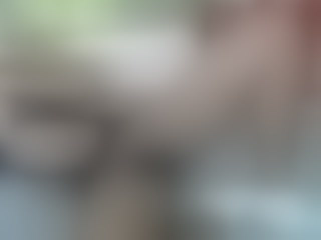 Live sex webcam photo for Skinybitchx #293387762