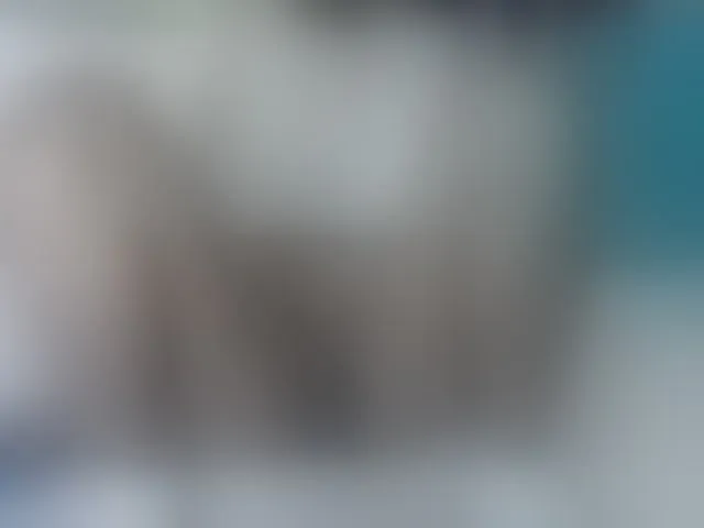 Live sex webcam photo for Skinybitchx #293440754