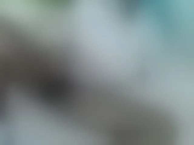 Live sex webcam photo for Skinybitchx #293474179