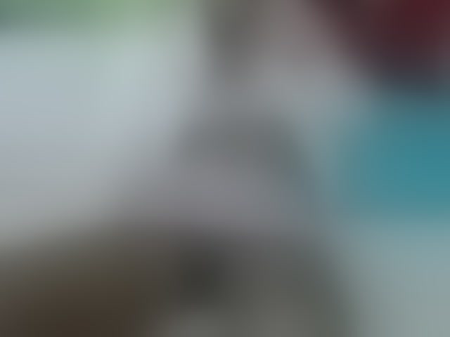 Live sex webcam photo for Skinybitchx #293482386