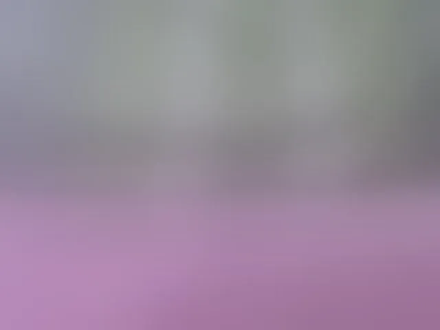 Live sex webcam photo for Skinybitchx #293755044