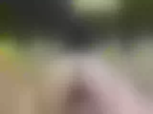 Live sex webcam photo for SladenkieVmeste #291157269