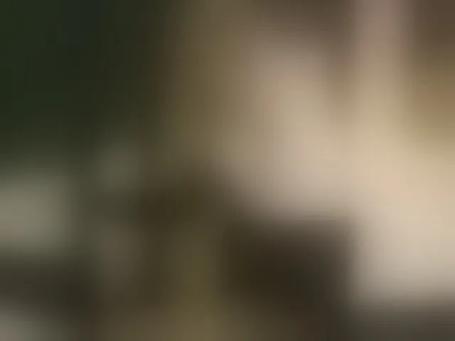 Live sex webcam photo for SladenkieVmeste