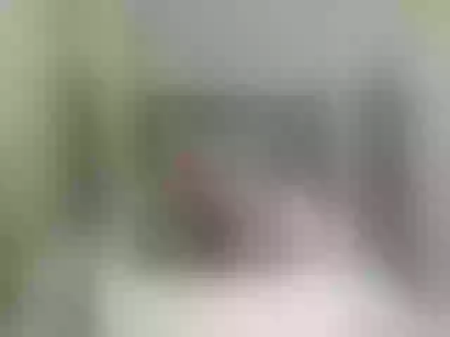 Live sex webcam photo for Slimpear19 #291855703
