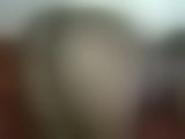 Live sex webcam photo for SlutyZari1 #293922231