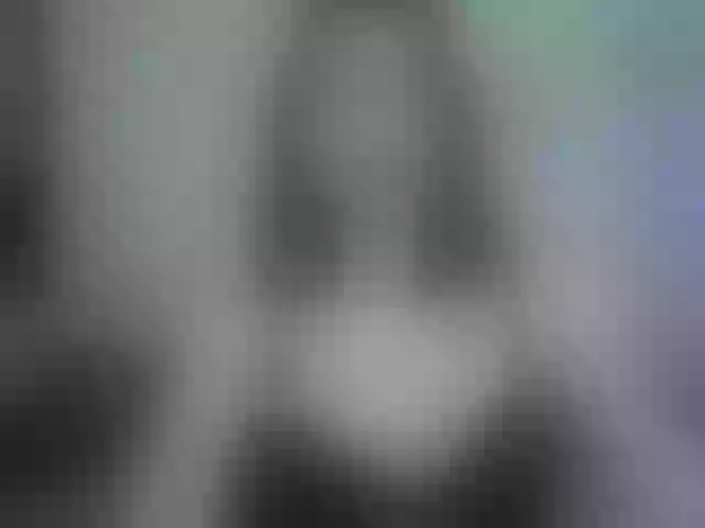 Live sex webcam photo for SlyFoxyWeb #292139801