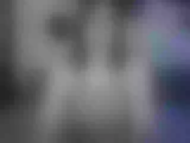 Live sex webcam photo for SlyFoxyWeb #292193149