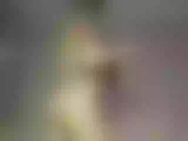 Live sex webcam photo for Smallcake18 #276062528