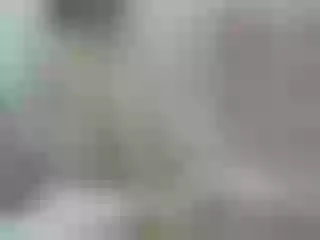 Live sex webcam photo for Smallgirl #228635003