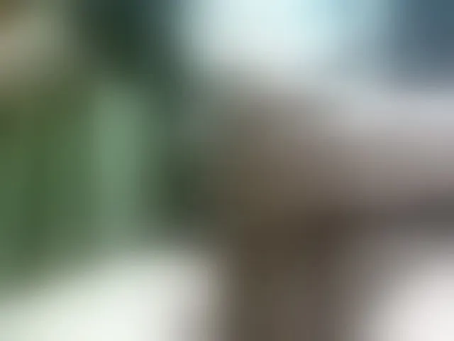 Live sex webcam photo for Smotrispb85 #276804063