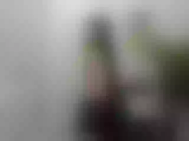 Live sex webcam photo for SnowingWinter #290597852
