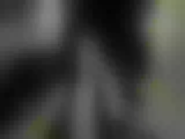 Live sex webcam photo for SnowingWinter #291902038