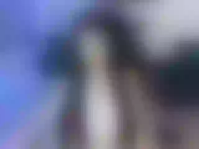 Live sex webcam photo for SnowingWinter #291941720