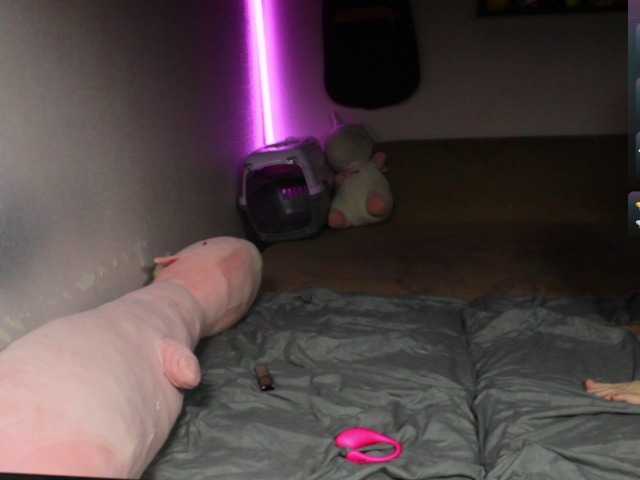 Live sex webcam photo for Sodom-and-gomorrah #291149594