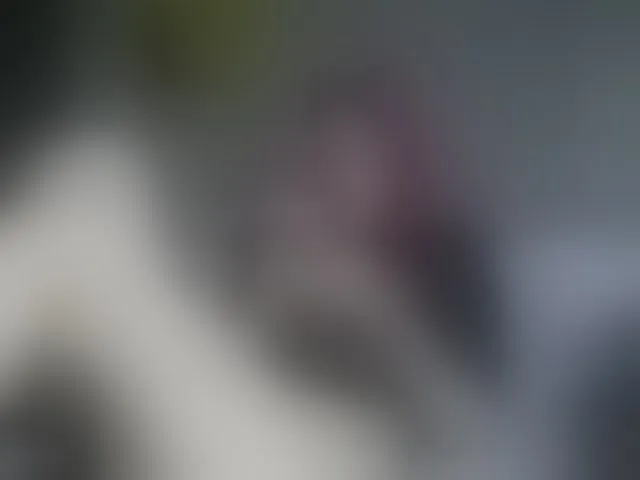 Live sex webcam photo for Sodom-and-gomorrah #293689590
