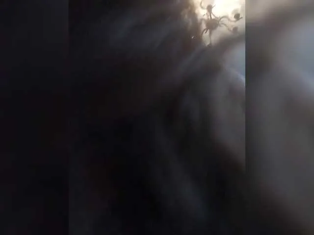 Live sex webcam photo for Sofa999 #290996472