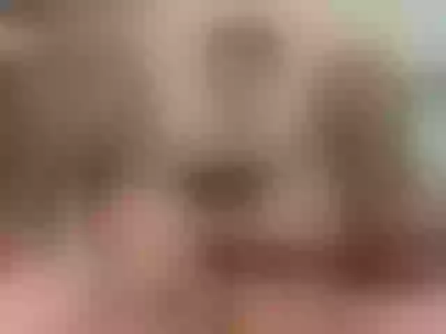 Live sex webcam photo for SofaTailor #291272858