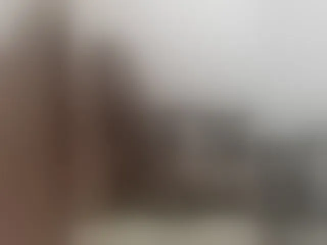 Live sex webcam photo for Soffuk #290410086