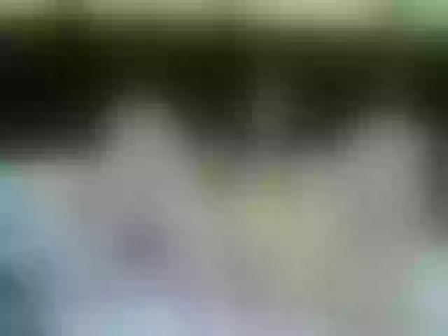 Live sex webcam photo for Sofhia-Kim #275609013