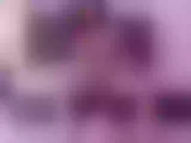 Live sex webcam photo for SofiPerez #290890550