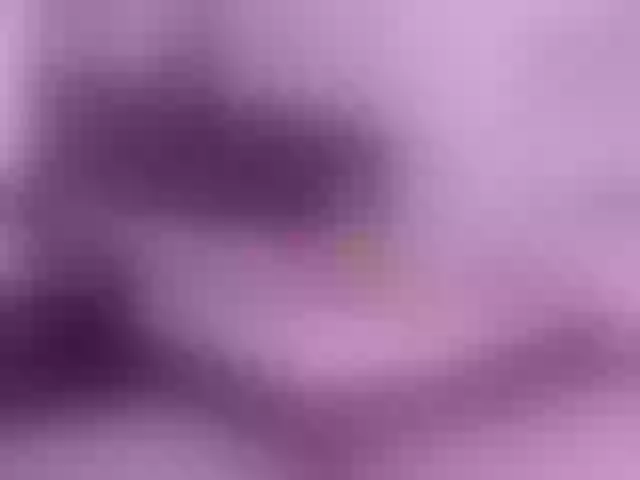 Live sex webcam photo for SofiPerez #290897644
