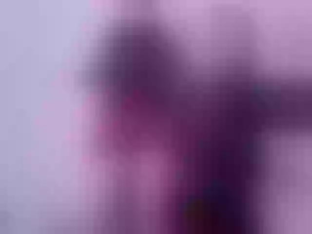 Live sex webcam photo for SofiPerez #292254303