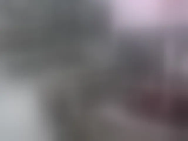 Live sex webcam photo for SofiPerez #292782880