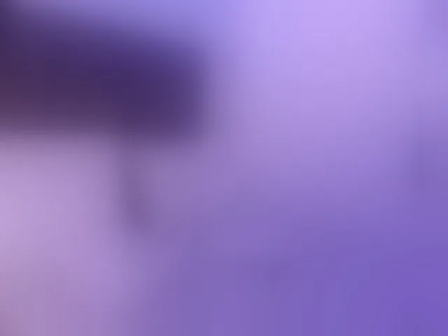 Live sex webcam photo for SofiPerez #292795135
