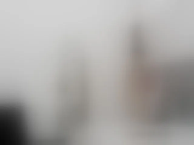 Live sex webcam photo for SofiPerez #293998779