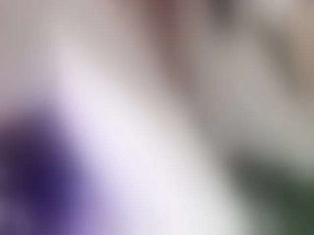 Live sex webcam photo for SofiPerez #294041044