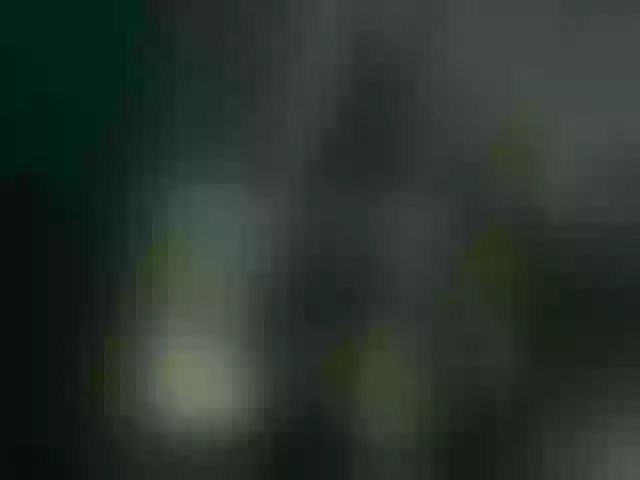 Live sex webcam photo for SofiaSW #291041018